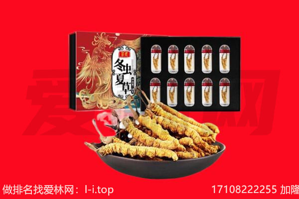 安顺市关岭回收虫草.jpg